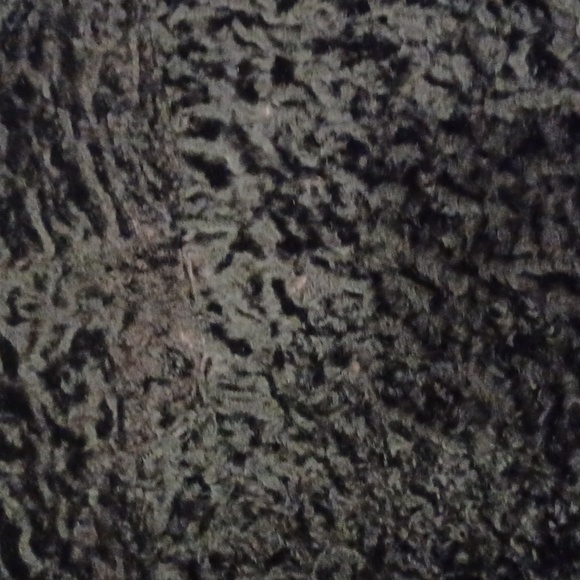 Genuine Persian Lamb Cropped 3/4 Sleeve Jacket- Sz. Med - Picture 13 of 14